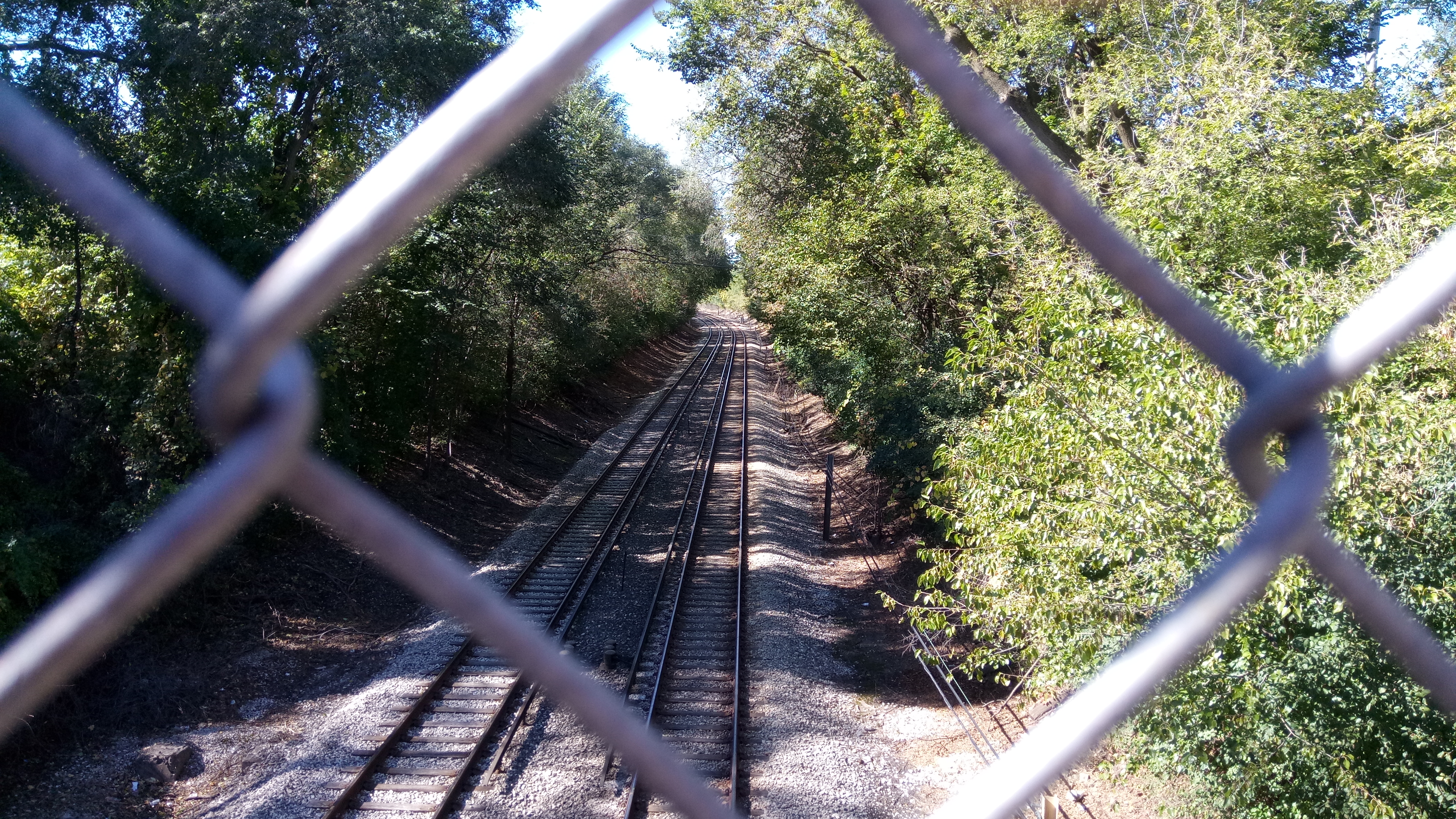 Common-Unity Partnership